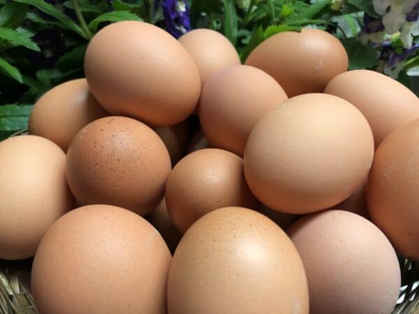 braunschalige Eier